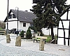 stein7.jpg