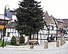 stein8.jpg