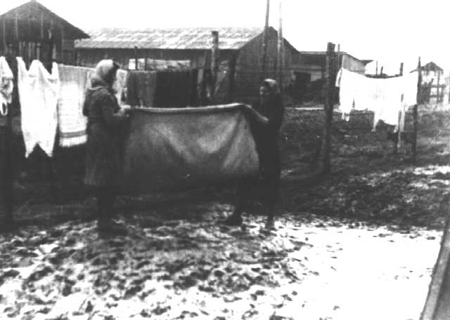 gschlamm.jpg (27222 Byte)