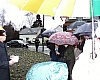 spich010127b.jpg