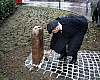 spich010127k.jpg