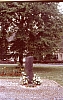 jahnplatz1985.jpg