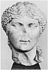 agrippina_minor.jpg