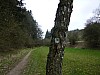 eifelsteig